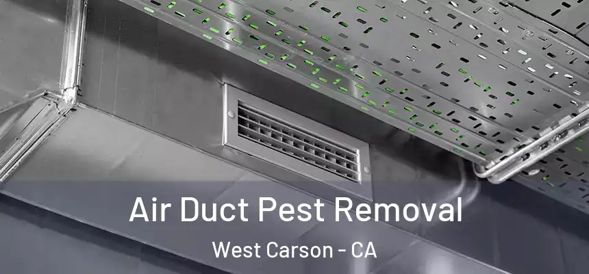  Air Duct Pest Removal West Carson - CA