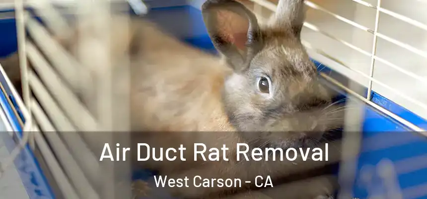  Air Duct Rat Removal West Carson - CA