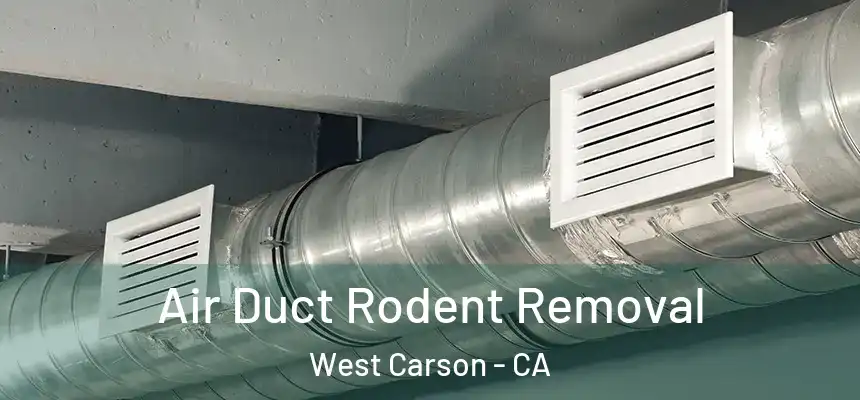  Air Duct Rodent Removal West Carson - CA