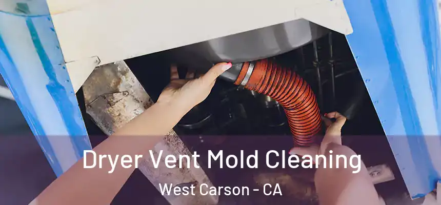  Dryer Vent Mold Cleaning West Carson - CA