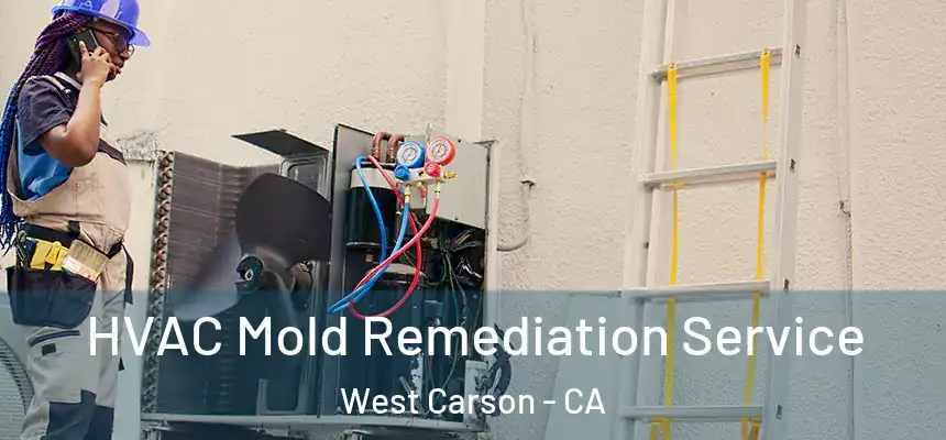  HVAC Mold Remediation Service West Carson - CA