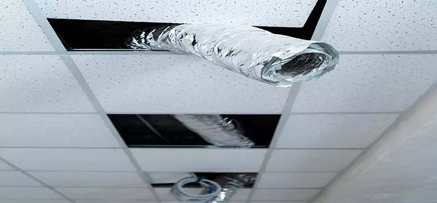 Affordable HVAC Sanitizing After Pest Removal in West Carson