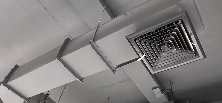 Our Pest Removal From Ducts Services in West Carson, CA