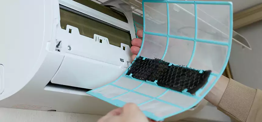 Gentle Ductwork Odor-Control Pet Dander Duct Cleaning in West Carson, CA