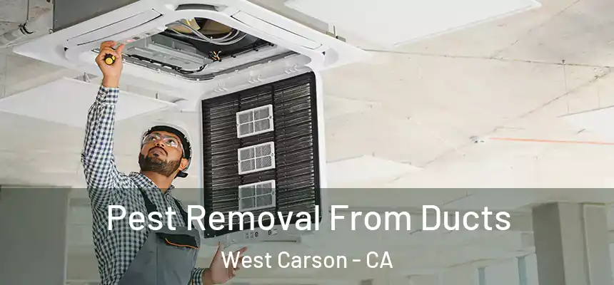  Pest Removal From Ducts West Carson - CA