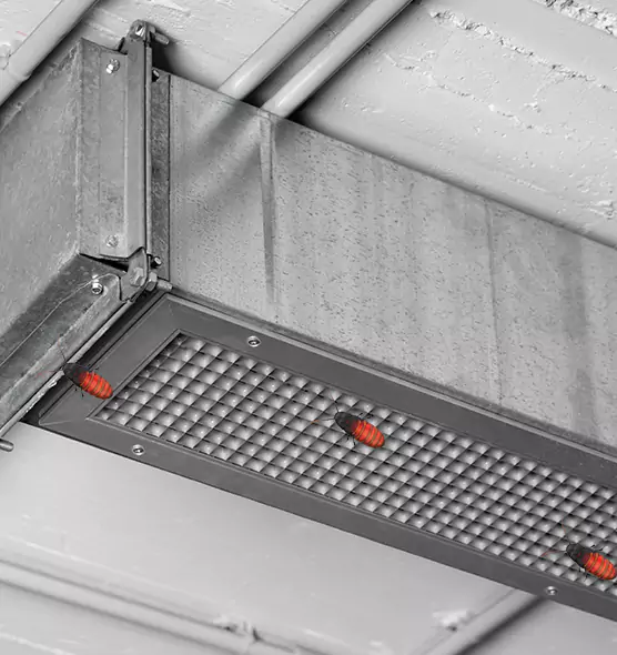 About Air Duct Cockroach Removal in West Carson, CA