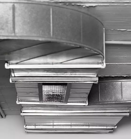 Professional Air Duct Pet Hair Removal in West Carson, CA