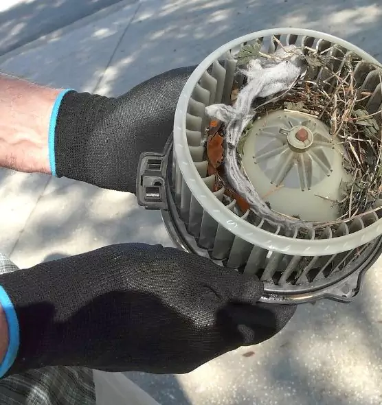 About Air Duct Rat Removal in West Carson, CA