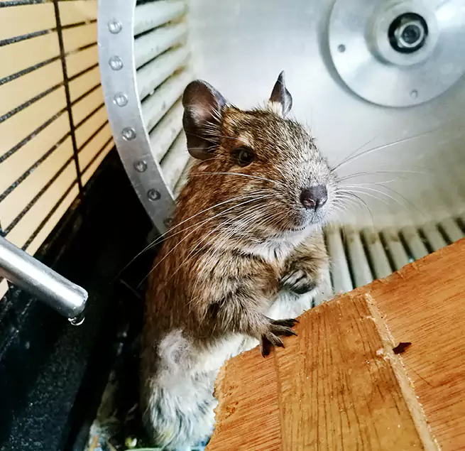 Why Homeowners & Businesses Trust Us West Carson, CA?