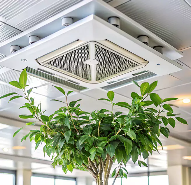 Why Homeowners & Businesses Trust Us in West Carson, CA?